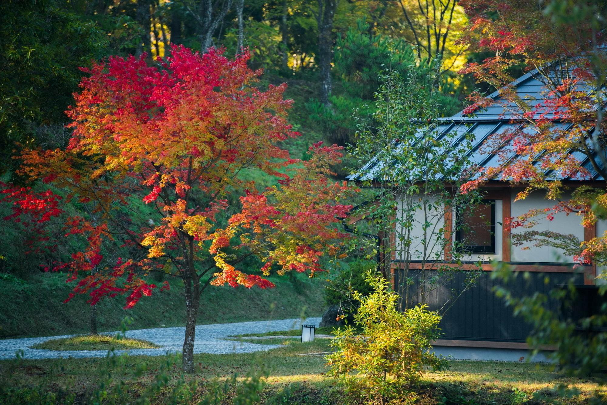 Hotel Miyama Sansou à Minamioguni Extérieur photo