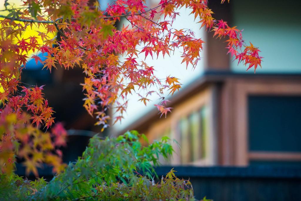 Hotel Miyama Sansou à Minamioguni Extérieur photo