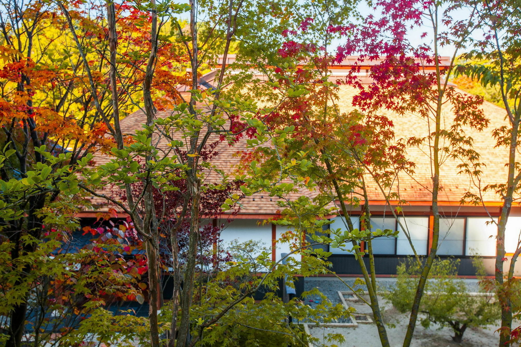 Hotel Miyama Sansou à Minamioguni Extérieur photo